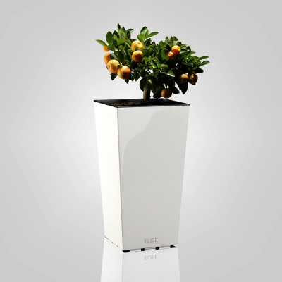 Саксия ELISE matt 20