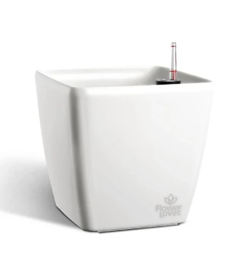 Саксия Quadrato 18