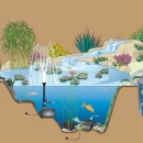 Thumbnail 3 of Помпа AquaMax Eco Classic 5500