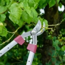 Thumbnail 3 of Телескопична ножица за клони Kent&Stowe