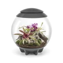 Thumbnail 2 of Терариум BiOrb AIR - 60 литра