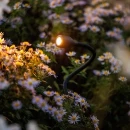 Thumbnail 4 of Осветително тяло Xible 12V