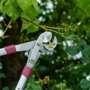 Thumbnail 3 of Телескопична ножица за клони Kent&Stowe