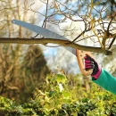 Thumbnail 3 of Трион