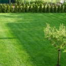 Thumbnail 2 of Френска тревна смеска за слънце и спортни терени CARNEAU