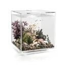 Thumbnail 2 of Аквариум BiOrb CUBE - 30 литра