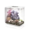 Thumbnail 2 of Аквариум BiOrb FLOW - 15 литра