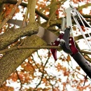 Thumbnail 4 of Телескопична ножица за клони