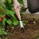 Thumbnail 2 of Инструмент за засаждане на луковици