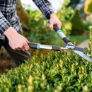 Thumbnail 3 of Ножица за жив плет  IDEAL™