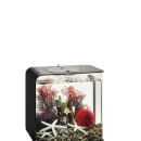 Thumbnail 2 of Комплект за декорация BiOrb Red Forest