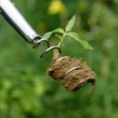 Thumbnail 5 of Инструмент за плевене тип "тирбушон"