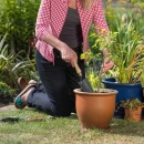 Thumbnail 3 of Градинска ръчна мистрия Kent&Stowe