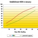 Thumbnail 3 of Тревна смеска Barenbrug SOS за пресяване 5 kg.