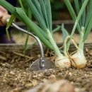 Thumbnail 3 of Градинска ръчна мотичка Kent&Stowe