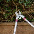 Thumbnail 2 of Телескопична ножица за клони Kent&Stowe