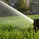 Thumbnail 6 of Роторен разпръсквач Rain Bird 5004 без дюзи