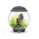 Thumbnail 2 of Аквариум BiOrb HALO - 30 литра