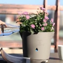 Thumbnail 3 of Саксия с кашпа HydroPot Канелка