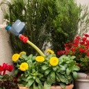 Thumbnail 6 of Програматор Hunter BTT за чешма с Bluetooth® управление