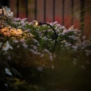 Thumbnail 2 of Осветително тяло Xible 12V