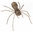 Thumbnail 1 of Паяк Ратан Сив-Spider Rattan Grey 36X43H15см