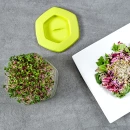 Thumbnail 7 of Съд за покълване на семена Mungo