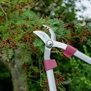 Thumbnail 2 of Ножица за клони Kent&Stowe