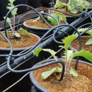 Thumbnail 4 of Кaпкообразувател IDROP NORMAL без компенсатор