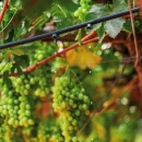 Thumbnail 6 of Капкообразувател iDrop компенсиращ