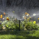 Thumbnail 4 of Разпръсквач "Pro-Spray" 30см. - тяло без дюза