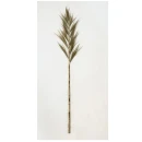 Thumbnail 1 of Тревен клас-Grass Leaf on Stick 150см