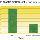 Thumbnail 10 of Тревна смеска Barenbrug RPR за спортни терени 1 kg.