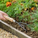 Thumbnail 2 of Градински ръчен култиватор Kent&Stowe