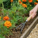 Thumbnail 3 of Градински ръчен култиватор Kent&Stowe