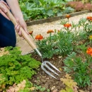 Thumbnail 3 of Вилица за разрохкване на почвата дълга дръжка