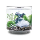 Thumbnail 4 of Комплект за декорация BiOrb Flower Garden