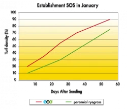 Снимка на Тревна смеска Barenbrug SOS за пресяване 5 kg.