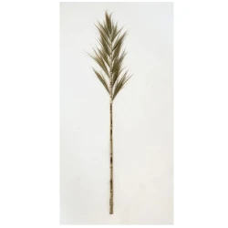 Снимка на Тревен клас-Grass Leaf on Stick 150см