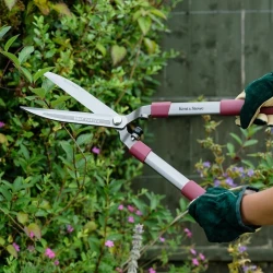 Снимка на Кована ножица за жив плет