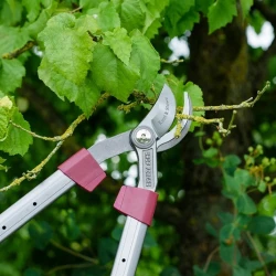 Снимка на Телескопична ножица за клони Kent&Stowe