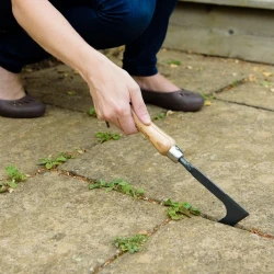 Снимка на Нож за плевене Kent&Stowe