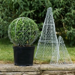 Снимка на Ножици за оформяне на храсти