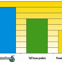 Снимка на Тревна смеска Barenbrug Watersaver сухоустойчива 1 kg.