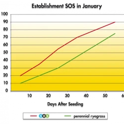 Снимка на Тревна смеска Barenbrug SOS за пресяване 5 kg.