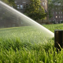 Снимка на Роторен разпръсквач Rain Bird 5004 без дюзи