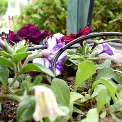 Снимка на Комплект за автоматично напояване на саксии 15