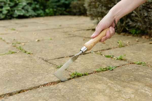 Нож за плевене - неръждаема стомана