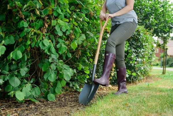 Лопата Kent&Stowe 1100 мм.