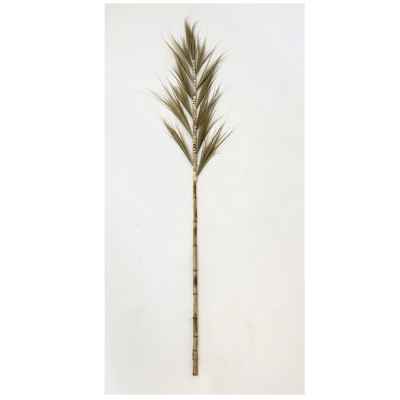 Тревен клас-Grass Leaf on Stick 150см